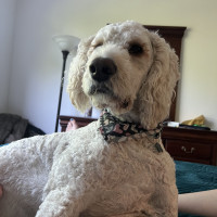 IMG_0685-1-scaled-wpcf_200x200 IMG_0685-1-scaled-wpcf_200x200