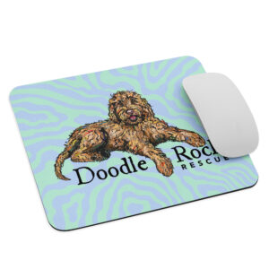 DRR Logo Mouse Pad