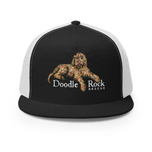 DRR Logo Trucker Cap